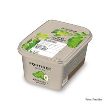 Püree - Soursop / Stachelannone, mit Zucker, TK, 1 kg