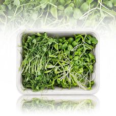 vollgepackt Microgreens MIX MiniGreenBox, 3 Sorten ganz junge Blätter / Keimlinge, 90 g, 3 x 30g