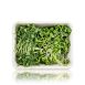 vollgepackt Microgreens MIX MiniGreenBox, 3 Sorten ganz junge Blätter / Keimlinge, 90 g, 3 x 30g