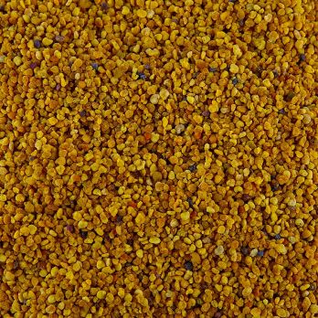 Spanische Blütenpollen , 500 g, 1 St