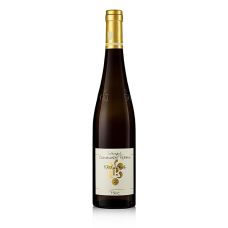 2022er Kastanienbusch Riesling GG, trocken, 12,5 % vol., Rebholz, BIO, 750 ml