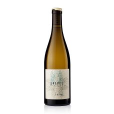 2021er Riesling unfiltriert, trocken, 12% vol., Knebel Brüder, 750 ml