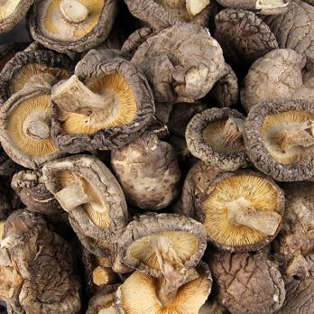 Getrocknete Shiitake Pilze (kleine Kalibrierung ø2-3cm), Dragon Boat, 3 kg