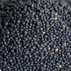 Linsen, Beluga, schwarz, BIO, 1 kg