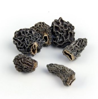Spitzmorchel-Köpfe, Tinies, ab ø 2cm, 1 kg
