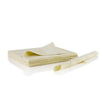 Wan Tan Teig-Blätter, dünn, 16x16cm, TK, 500 g, 28 Blatt