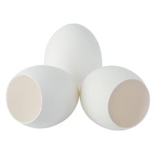 Leere Eierschalen, weiss, zum Füllen, 120 St