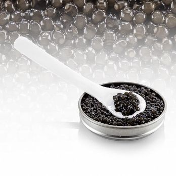 Desietra Beluga Kaviar Malossol vom Hausen (huso huso), Aquakultur Deutschland, 250 g