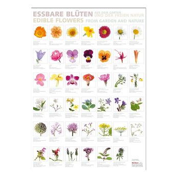Port Culinaire - Küchenposter Eßbare Blüten (59,4 x 84cm), 1 St