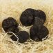 Winter-Edeltrüffel - tuber melanosporum 1. Wahl, groß, Australien, Juni/August, per Gramm