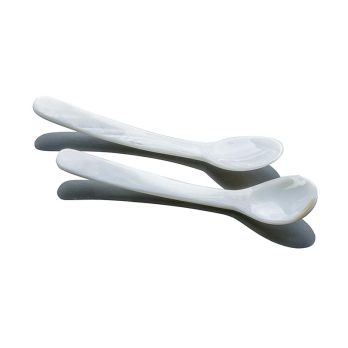 Desietra Kaviarglasschale (Bowle) mit Edelstahl Untersetzer und 2 Löffel, 5 tlg.