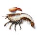 Kanadischer Hummer HPL, Halbierter Hummer mit Schale & Schere, TK, 400 g, 2 tlg.