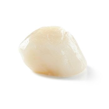 Kanadische Jakobsmuscheln, Größe M, 44-66 Stück, TK, 1 kg