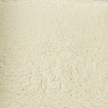 Gewürzgarten Knoblauch-Pulver, ungeschwefelt, 100 g