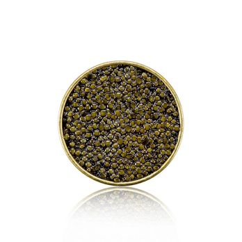 Selection Ossetra Kaviar (Acipenser gueldenstaedtii), 50 g