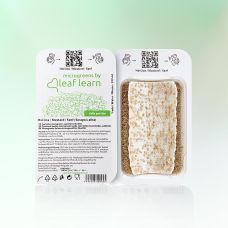 Microgreens Zucht Kapsel Senf, 4 Portionen, Leaf Learn, 1 St
