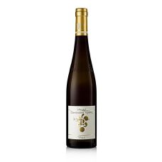2020er Im Sonnenschein Riesling GG, trocken, 12,5 % vol., Rebholz, BIO, 750 ml