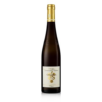 2021er Kastanienbusch Riesling GG, trocken, 12,5 % vol., Rebholz, BIO, 750 ml