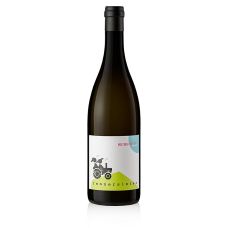 2021er Waiting for Tom, trocken, 12,5% vol., Renner, BIO, 750 ml