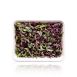 vollgepackt Microgreens Rote Beete, ganz junge Blätter / Keimlinge, 50 g