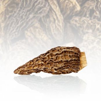 Spitzmorchel-Köpfe, Jumbo, getrocknet, Borde, 800 g