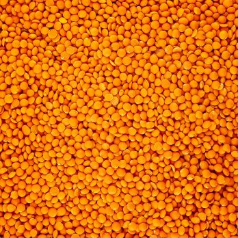 Rote Linsen (mSö), BIO , 25 kg