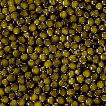 BOS FOOD Premium Selection - Kreuzung Amur x Kaluga, Aquakultur, ohne Konservierungsmittel, China, 125 g