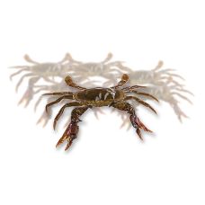 Soft Shell Mangroven Krabben, Uogashi, TK, 1 kg, ca.14 St