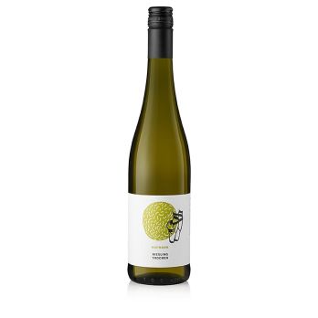 2024er Riesling QW, trocken, 12 % vol., Hofmann, BIO, 750 ml