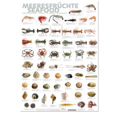 Port Culinaire - Küchenposter Meeresfrüchte (59,4 x 84cm), 1 St