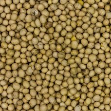 Soja Bohnen, Europa, BIO, 1 kg