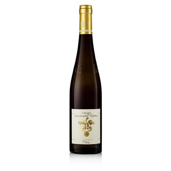 2018er Kastanienbusch Riesling, GG, trocken, 13,5 % vol., Rebholz, BIO, 750 ml