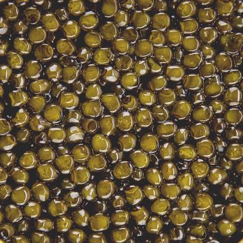 BOS FOOD Premium Selection - Kaluga Kaviar (Huso dauricus), 250 g