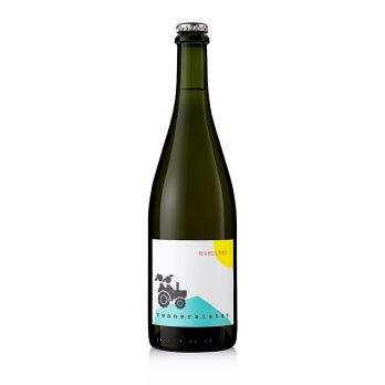 2020er Pet Nat in a hell mood Unfiltriert, Perlwein, 11 % vol., Renner, BIO, 750 ml