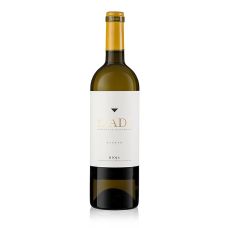 2020er Blanco, Cuvée, Barrique, trocken, 13,5% vol., Izadi, 750 ml