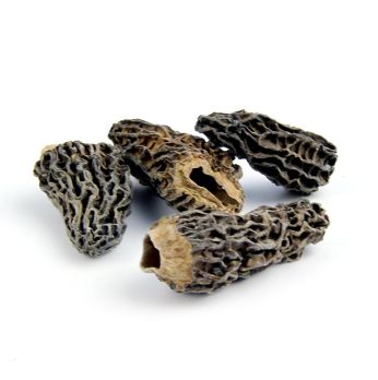 Spitzmorchel-Köpfe, Specials, ab ø 3cm, 1 kg