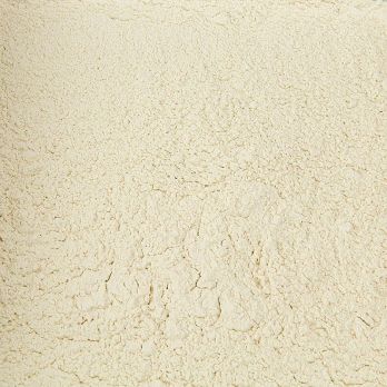 Zwiebel Pulver, 1 kg
