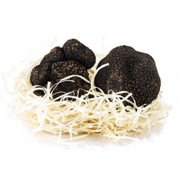 Winter-Edeltrüffel - tuber melanosporum, frisch, Spanien, Nov./März, per Gramm
