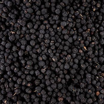 Tasmanian Pepperberry - Tasmanische Pfefferbeeren, ganz, 40 g