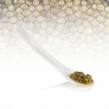 Desietra Sterletkaya Kaviar vom Sterlet Stör, Aquakultur Deutschland, 125 g