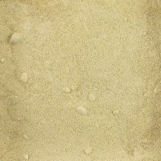 Gelbe Bete Pulver, gemahlen, 1 kg