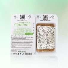 Microgreens Zucht Kapsel Rucola, 4 Portionen, Leaf Learn, 1 St