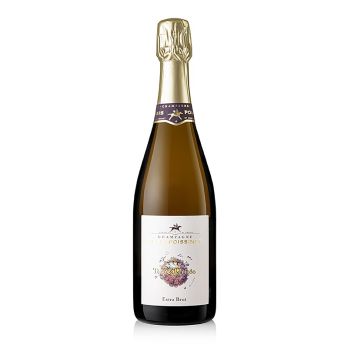 Champagner Regis Poissinet, Terre d´Irizée, extra brut, 12 % vol., 750 ml