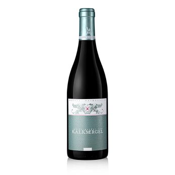 2023er Spätburgunder vom Kalkmergel, trocken, 13,5 % vol., Andres, BIO, 750 ml