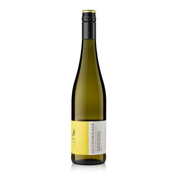 2022er Hakuna Matata Weißwein, trocken, 11,5 % vol., Motzenbäcker, BIO, 750 ml