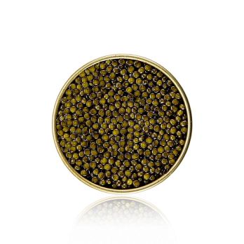 BOS FOOD Premium Selection - Kreuzung Amur x Kaluga, Aquakultur, ohne Konservierungsmittel, China, 125 g