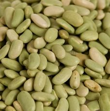 Bohnen, Flageolets - grüne Bohnen, getrocknet, 1 kg