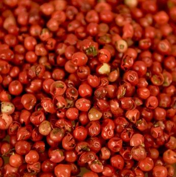 Rosa Pfeffer - Schinus-Beeren, getrocknet, 1 kg