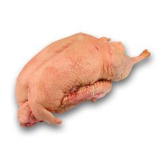 Frische Gillbachtaler Weidegänse, Gillbachtal (November/Dezember), ca.4,5 kg