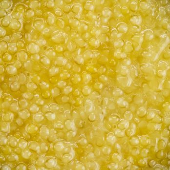 Desietra weißer Kaviar vom Albino-Stör (Sterlet), Aquakultur Deutschland, 125 g
